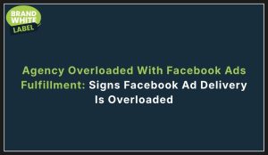 agency overloaded with facebook ads fulfillment
