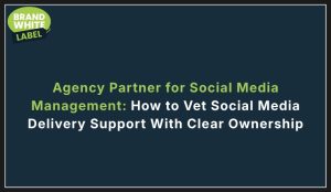 agency partner for social media management