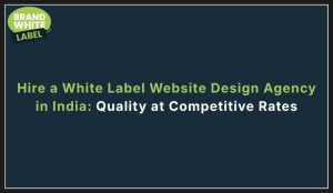 hire white label website design agency in india