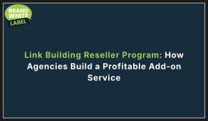 link building reseller program