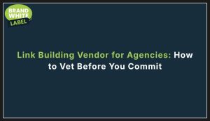 link building vendor for agencies