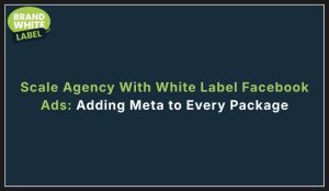 scale agency with white label facebook ads