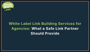 white label link building services for agencies