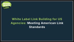 white label link building for us agencies