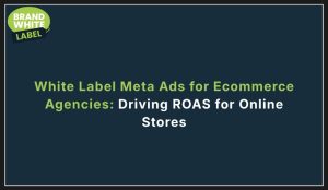 white label meta ads for ecommerce agencies