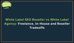 white label seo reseller vs white label agency