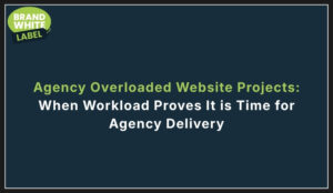 agency overloaded website projects
