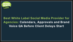 best white label social media provider for agencies