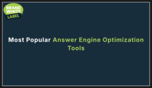 Most Popular Answer Engine Optimization Tools​