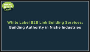white label b2b link building services