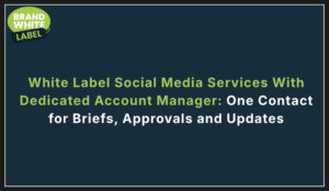 white label social media services with dedicated account manager