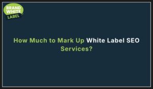 how much to mark up white label seo services