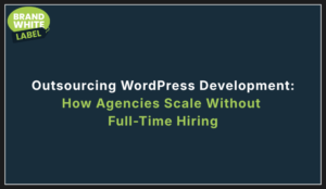 outsource wordpress development