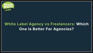 white label agency vs freelancers