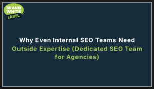 dedicated seo team for agencies
