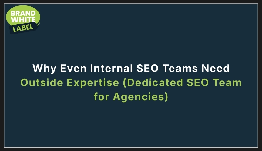 dedicated seo team for agencies